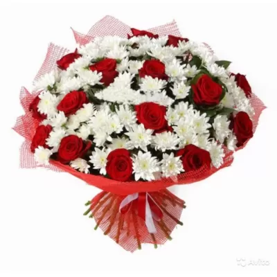 bouquet 055: 15 красных роз, 10 хризантем, сетка