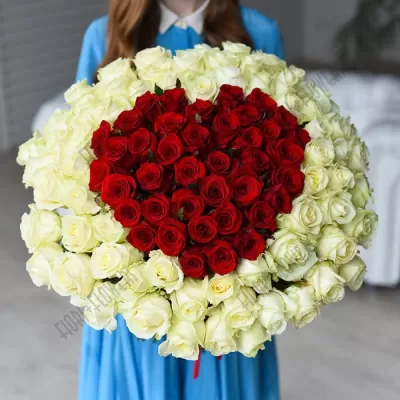 Букет 196 "Красное сердце": 101 красная и белая эквадорская роза