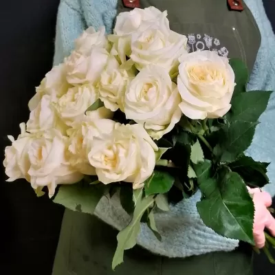 Роза Candlelight: пионовидная кремовая эквадорская роза
