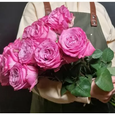 Роза Queens Crown: Эквадорская роза, премиальный сорт. Большой фиолетово-малиновый бутон!